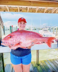 Red snapper catch displayed at Gulf Shores AL marina with boats in background