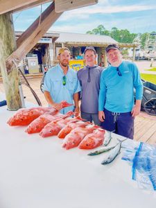 Fresh caught red snapper displayed on cleaning table at Gulf Shores AL marina