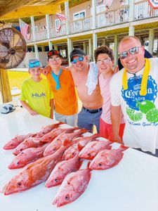 Fresh caught red snapper displayed on cleaning table at Gulf Shores AL fishing dock