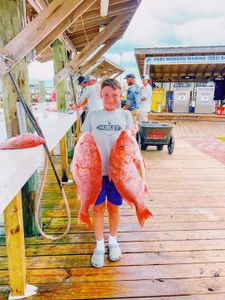Two red snapper caught fishing in Gulf Shores AL displayed at marina dock