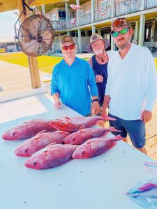 Six red snapper fish displayed on cleaning table at Gulf Shores AL fishing dock