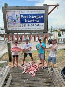 Fresh caught red snapper displayed at Fort Morgan Marina in Gulf Shores Alabama after successful fishing trip