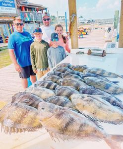 Large catch of sheepshead fish displayed on dock in Gulf Shores AL