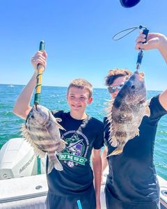 Two sheepshead fish caught while fishing in Gulf Shores AL