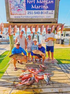 Successful fishing trip at Fort Morgan Marina in Gulf Shores AL showing red snapper, greater amberjack, and longfin yellowtail catch
