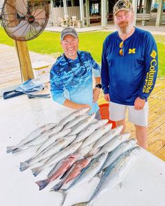 Fresh caught Spanish Mackerel laid out on dock in Gulf Shores AL