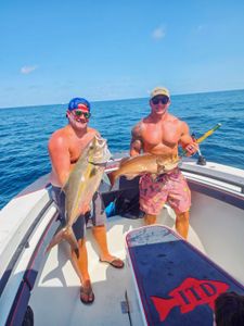 Two anglers displaying fresh caught longfin yellowtail and snapper on fishing boat in Gulf Shores AL