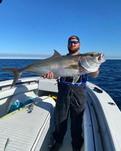 A large greater amberjack fish caught by a person in Gulf Shores