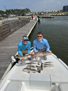 Reeling in the catch of the day.