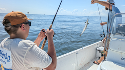 Reeled in a tasty Spanish mackerel with some tricky deep sea fishing techniques in Gulf Shores, AL!