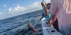One 17-inch fish caught while fishing in AL