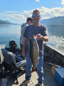 A single coho salmon, 23 inches long, caught fishing in Oregon