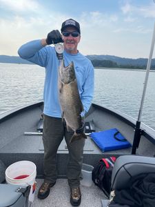 A lone sea trout caught in OR while fishing