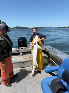Atlantic Needlefish caught in OR