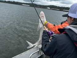 Fishing adventure in Astoria