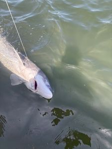 Fishing in Oregon