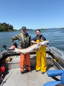White sturgeon fish caught by two people in Astoria