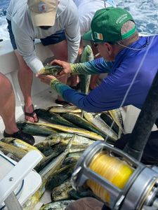Another day, another reason to go fishing in Key West.