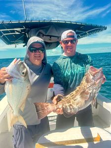 Two black grouper, each about 20 inches long, caught while fishing in FL