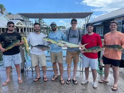 5 blackfin tuna fish caught while fishing in FL
