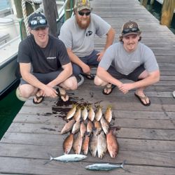 Four Cero Mackerel and Spanish Mackerel, caught while fishing in Key West