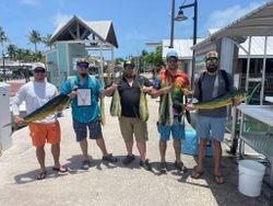 Two muskellunge, a large fish species, in Key West, Florida