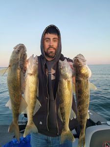 4 big fish caught while fishing in MN