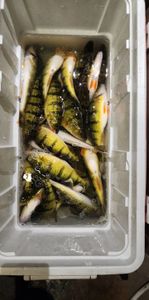 Fishing in MN, a great outdoor adventure