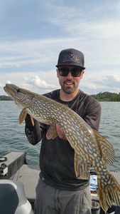 Large northern pike caught while fishing in Minnesota