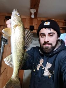 Squeteague fish caught in MN