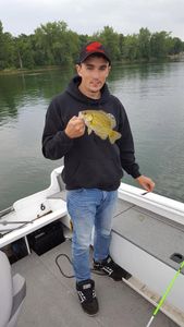 Angler with a 7-inch fish in MN