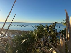 Fishing scene in Aransas Pass