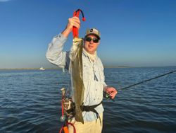 Spotted Weakfish caught while fishing in TX