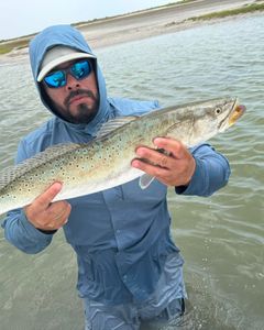 Angler fishing in TX