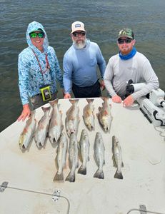 10 spotted weakfish, redfish, and other fish caught during fishing trip in Aransas Pass