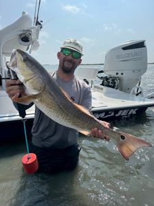 A person fishing for a single redfish in Aransas Pass
