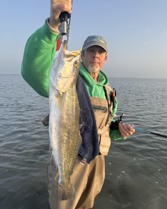 Spotted Weakfish, a 31-inch fish caught while fishing in TX
