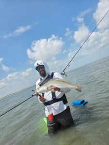 Spotted Weakfish caught while fishing in Aransas Pass