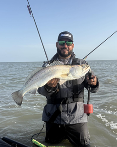 Spotted Weakfish, 23 inches, caught while fishing in Aransas Pass