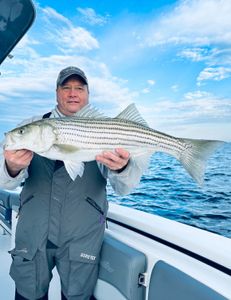 Fishing serenity in Cape Cod's embrace