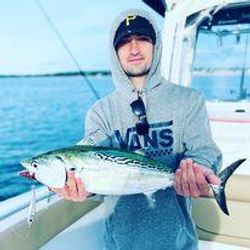 Bluefish catch in Bourne