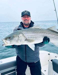 Striped Bass Hooked on fishing in Cape Cod