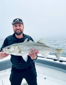 Discover the thrill of fishing in Cape Cod