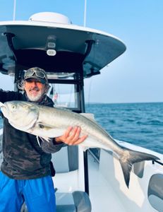 Unleash your inner angler in Cape Cod