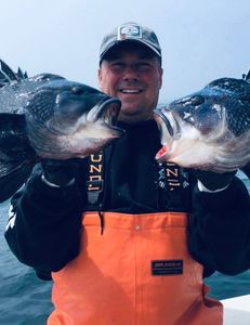 Two fish caught in Bourne, fishing.