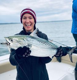 Little Tunny fish caught in MA