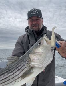 Lone angler fishing in MA