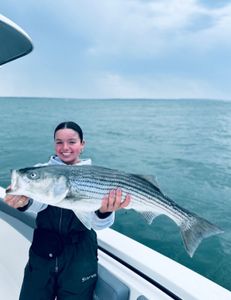 Striped bass caught by two people in Bourne
