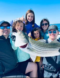 Striped bass caught fishing in MA