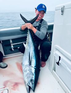 One angler fishing in MA